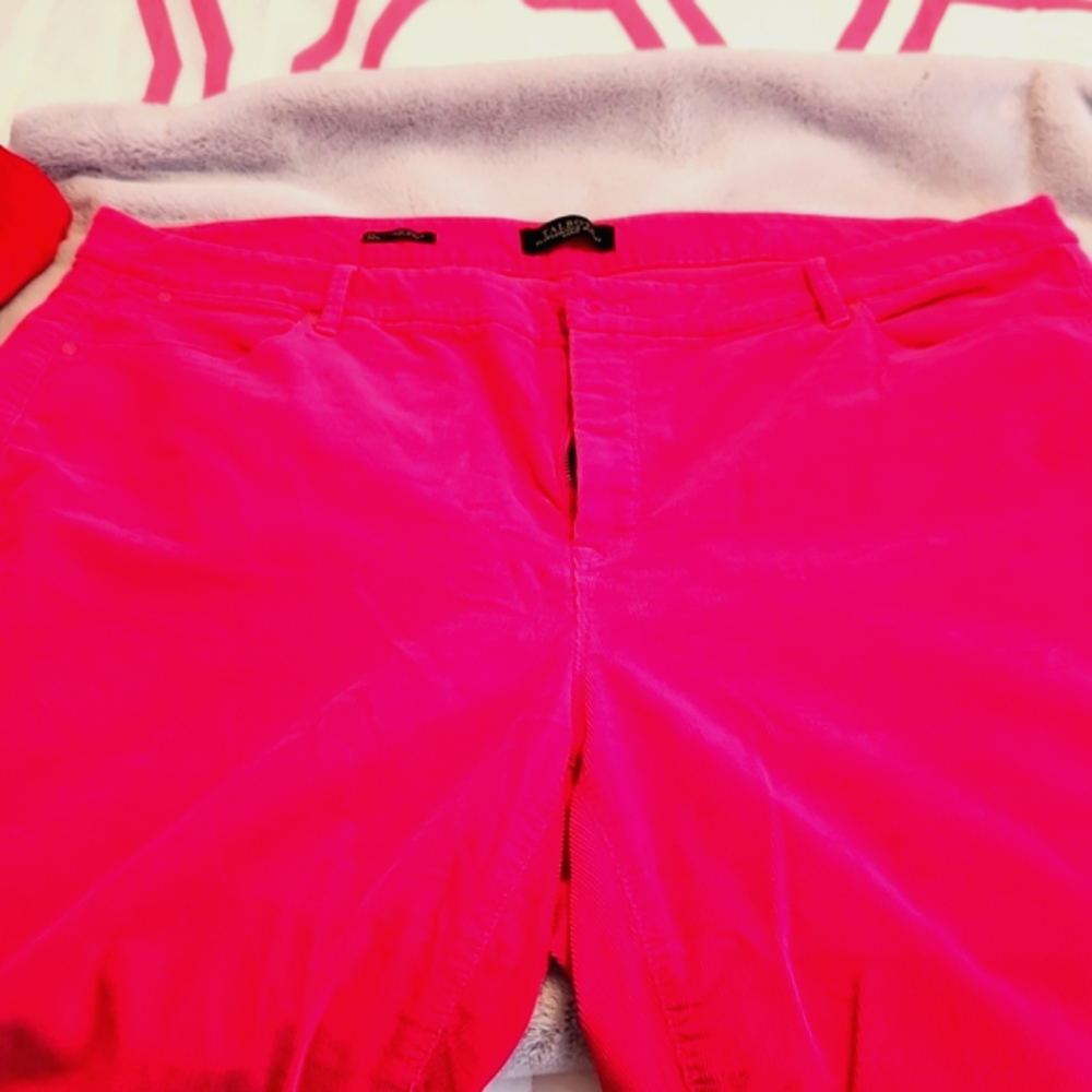 Hot Pink Corduroy pants
